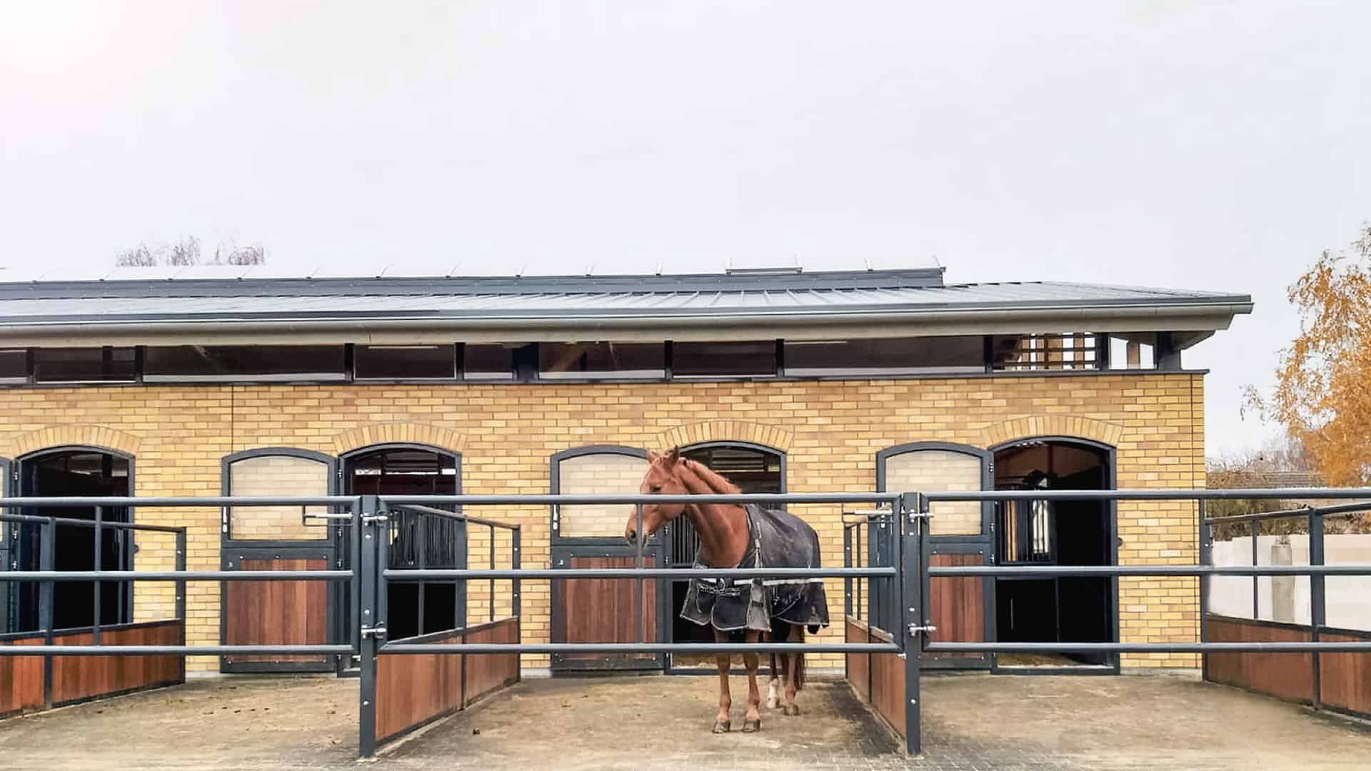 Stallungen Reithalle Ghei — Impression 2