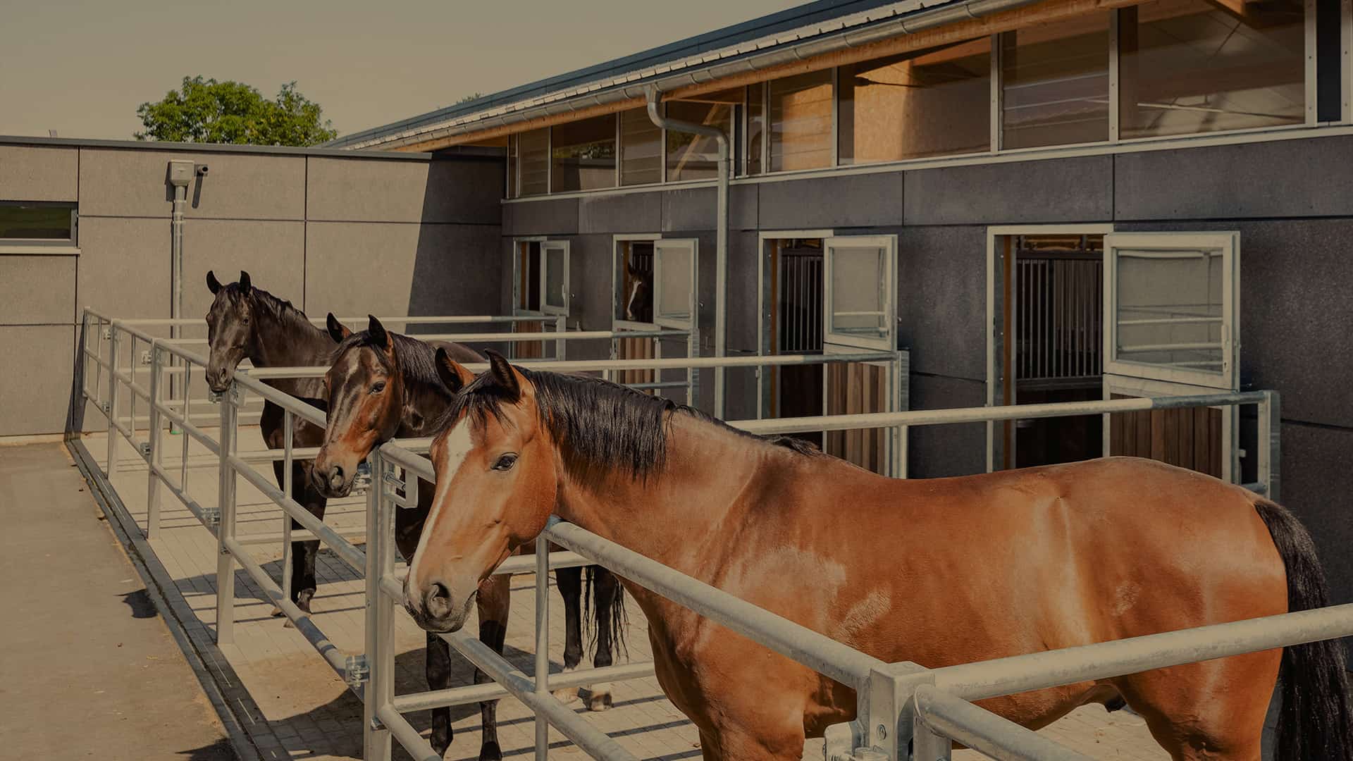 Stallungen Reithalle Ghei — Impression 1